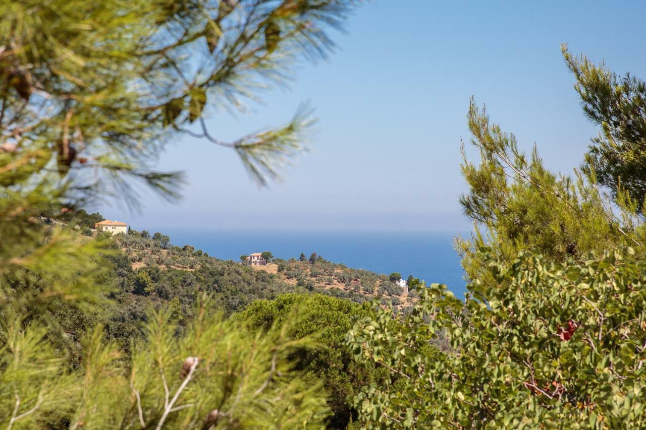 Elli Cottage Skopelos Exterior foto